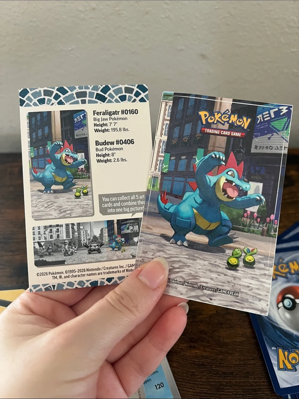 Pokemon Cards and Tin Collecting Trading Kids